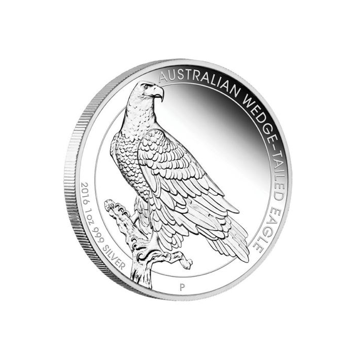 Australian Silver Wedge-Tailed Eagle