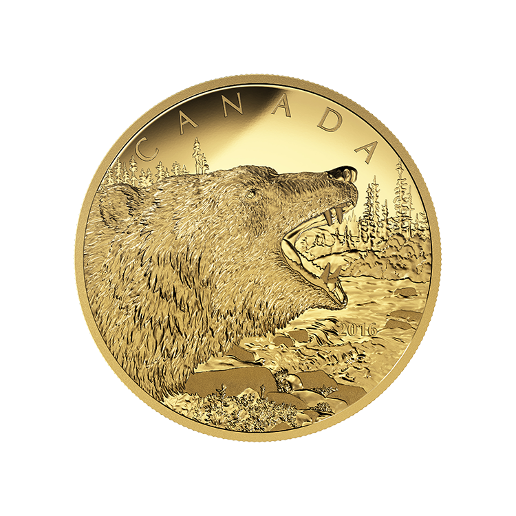Canadian Gold Roaring Grizzly Bear