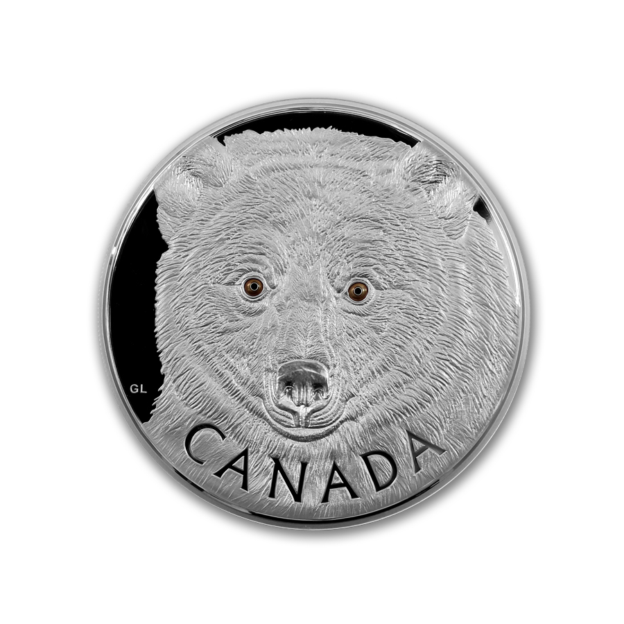 Canadian Silver Spirit Bear
