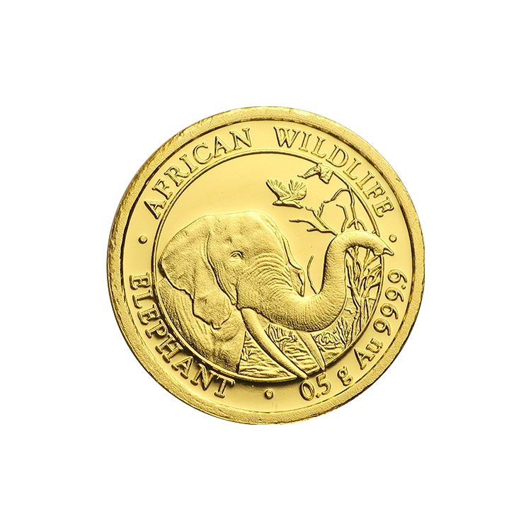 African Gold Coins