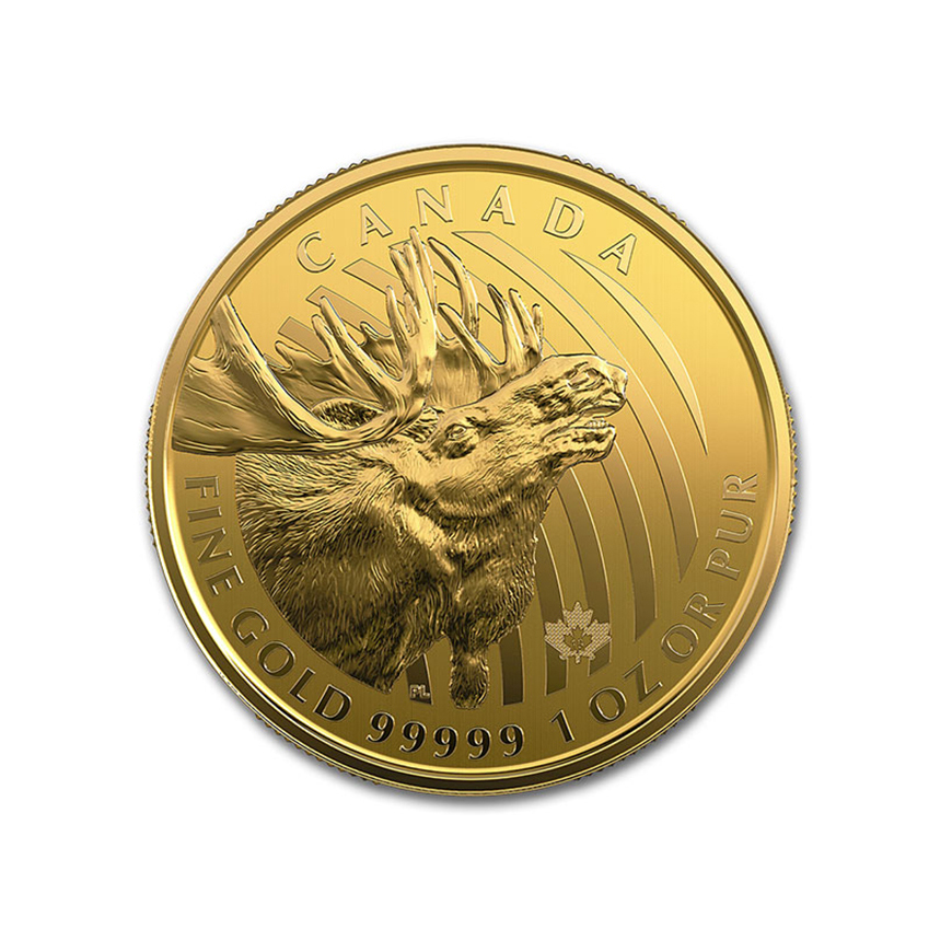 canadian gold moose